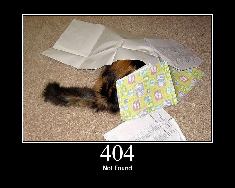 A cat hiding with the caption '494 not found'.